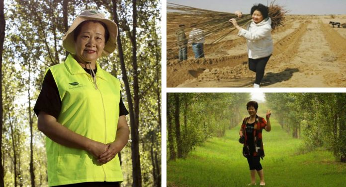 Mulher de 65 anos transforma deserto em floresta de vida plantando milhares de árvores