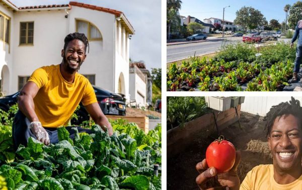 Jovem converte os jardins de seu bairro em pomares urbanos