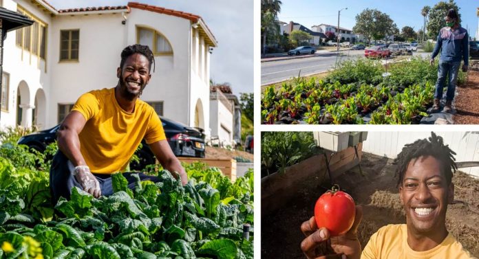 Jovem converte os jardins de seu bairro em pomares urbanos