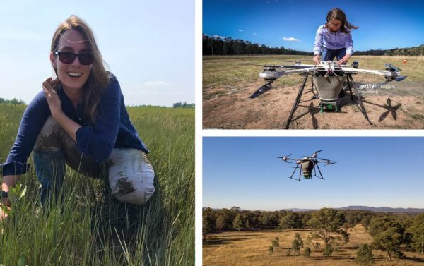 Jovem desenvolve drones capazes de plantar até 100 mil árvores por dia