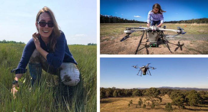 Jovem desenvolve drones capazes de plantar até 100 mil árvores por dia