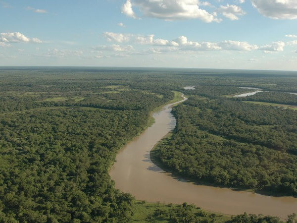 Chaco. O segundo pulmão mais importante da América do Sul está a morrer