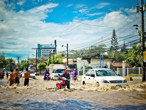 Áreas verdes reduzem impacto das enchentes nas cidades