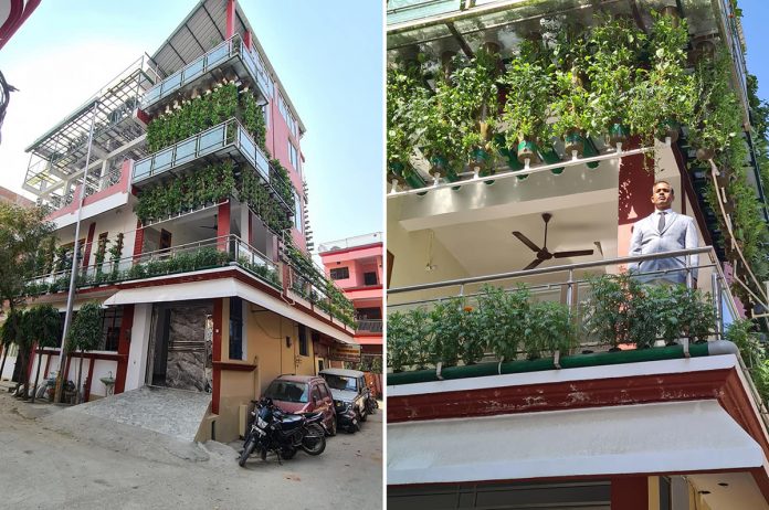 Jornalista transforma sua casa em fazenda urbana hidropônica