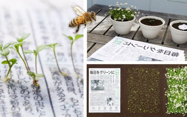 Japoneses criam jornal que ao ser descartado se transforma em flores que ajudam as abelhas