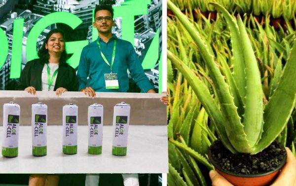 Jovens criam as primeiras baterias de aloe vera do mundo que não poluem