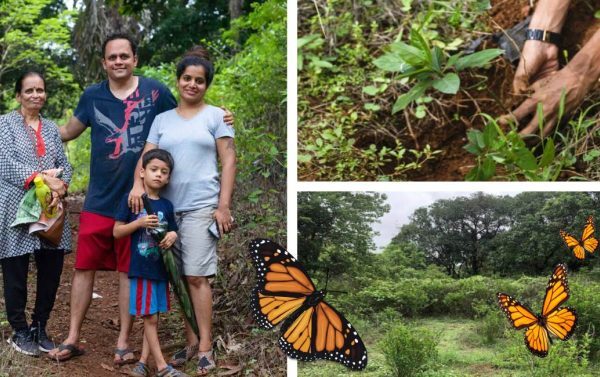 Família planta 6.000 árvores e cuida delas por 17 anos para ajudar borboletas