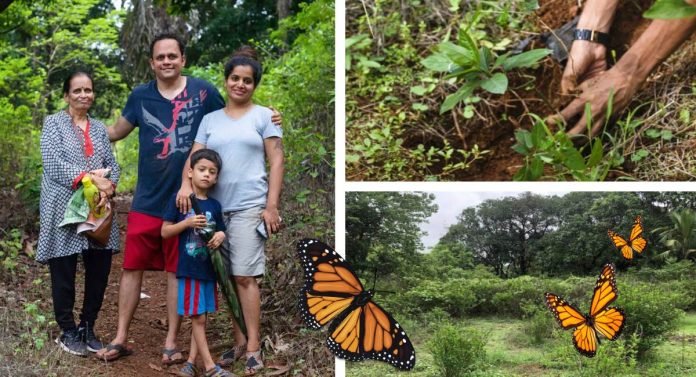 Família planta 6.000 árvores e cuida delas por 17 anos para ajudar borboletas