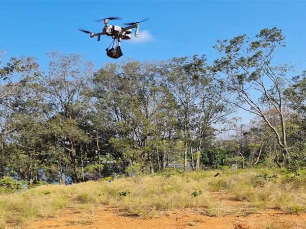 Tecnologia de reflorestamento utiliza drone para despejar biocápsulas de sementes na floresta