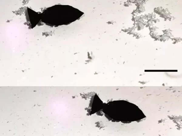 Cientistas criam peixe robô para remover microplásticos do oceano