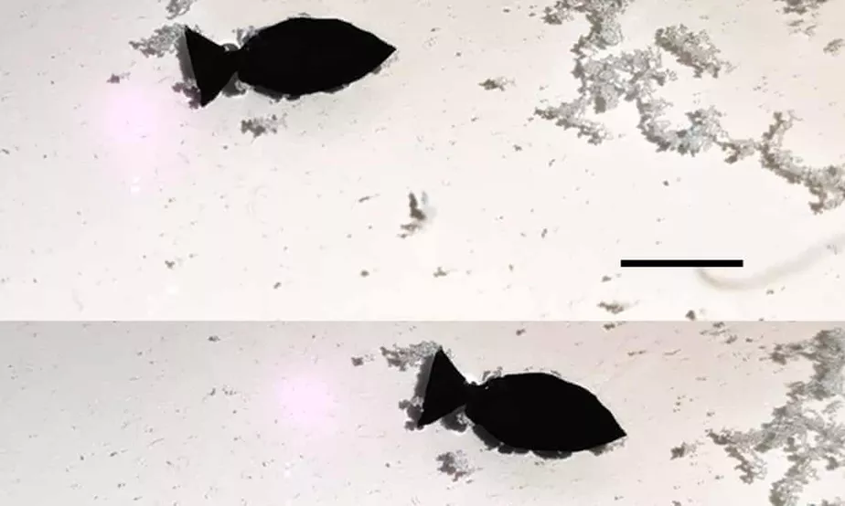 Cientistas criam peixe robô para remover microplásticos do oceano