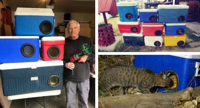 Idoso converte antigas caixas de gelo em casas termais para animais de rua