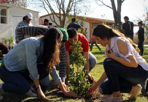 Estado mexicano exige plantio de árvore como requisito para se formar na universidade