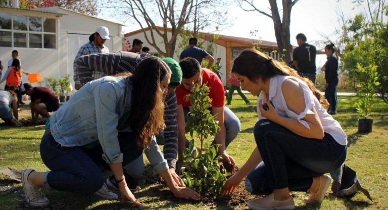 Estado mexicano exige plantio de árvore como requisito para se formar na universidade