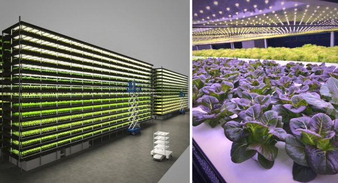 Criado um sistema agrícola vertical capaz de produzir até mil toneladas de alimentos