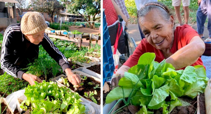 Asilo muda inúmeras terapias por uma horta que faz os idosos felizes