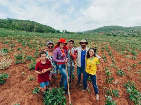 Comunidades adotam estratégia para enfrentar desertificação na região mais seca da paraíba