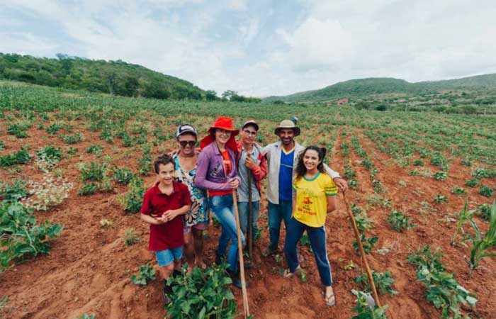 Comunidades adotam estratégia para enfrentar desertificação na região mais seca da paraíba