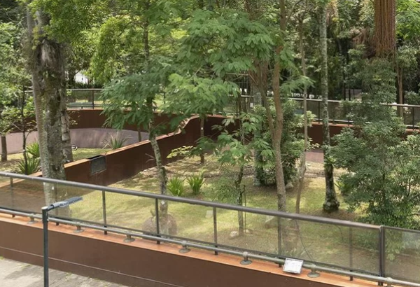 Parque da Ciência Butantan reabre em SP com mais de 20 atrações