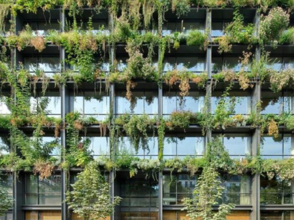 Centro de saúde coberto por plantas medicinais é eleito “Edifício do Ano”