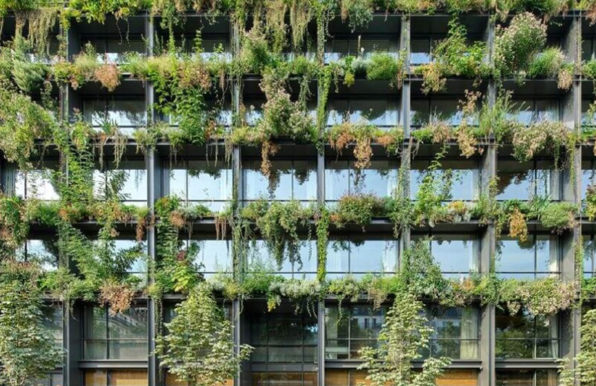 Centro de saúde coberto por plantas medicinais é eleito “Edifício do Ano”