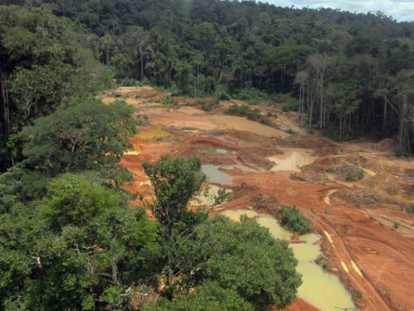 Impactos da contaminação por mercúrio dos garimpos