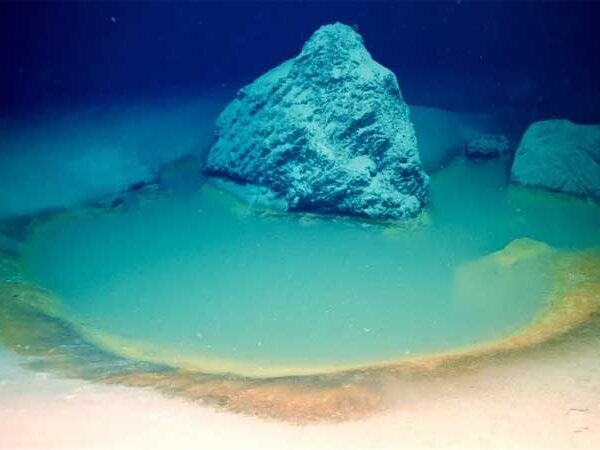 Pesquisadores descobrem raras piscinas de salmoura no Mar Vermelho