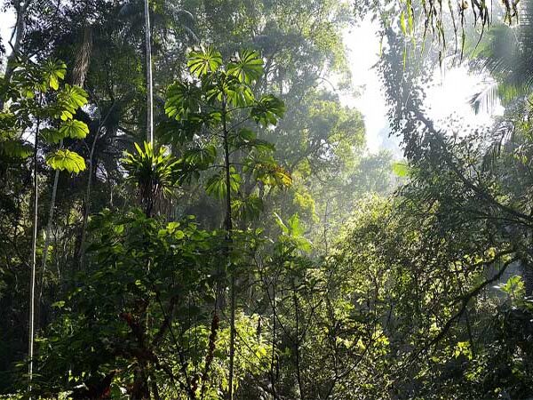 Espaços no entorno das serras paulistas vêm sofrendo degradação e necessitam maior proteção