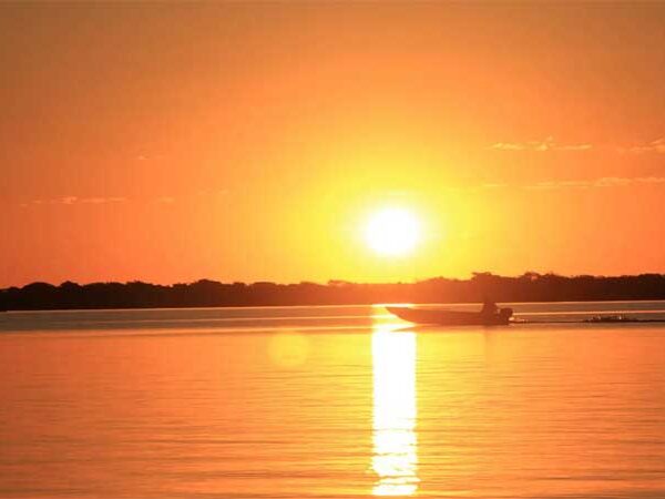 Cientistas caracterizam o que há de vida nas “lagoas de soda” do Pantanal