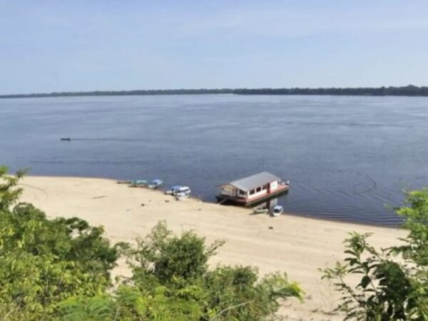 Amazônia: Conheça os encantos do Parque Nacional de Anavilhanas