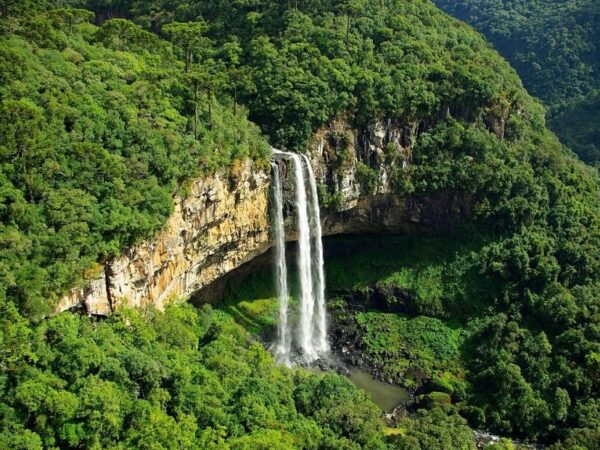 Meio ambiente limpo, saudável e sustentável vira direito humano