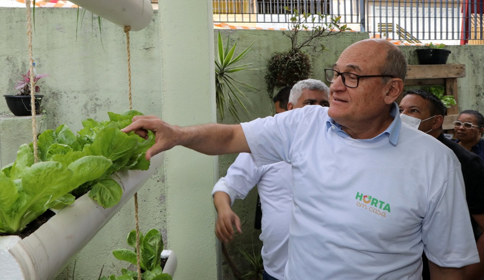 Diadema lança projeto de incentivo a hortas caseiras