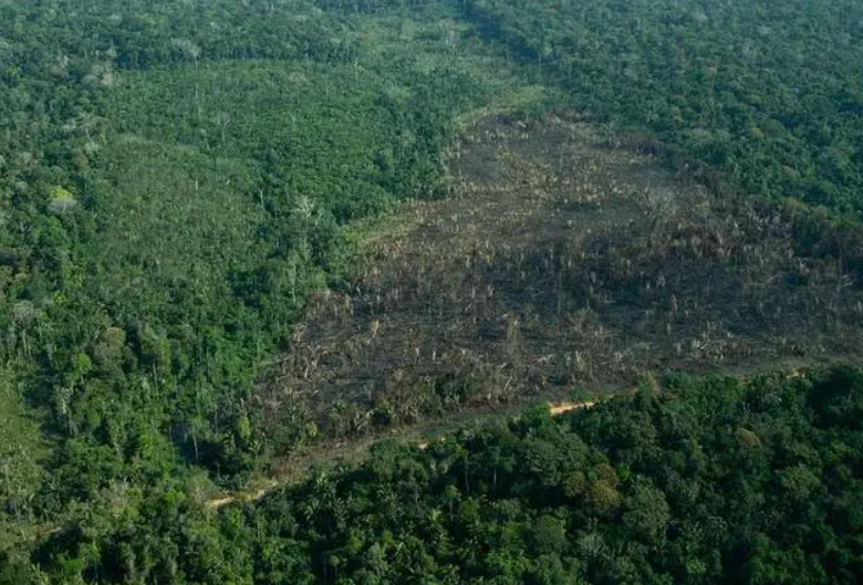 Amazonas tem seis das dez áreas protegidas mais ameaçadas do bioma