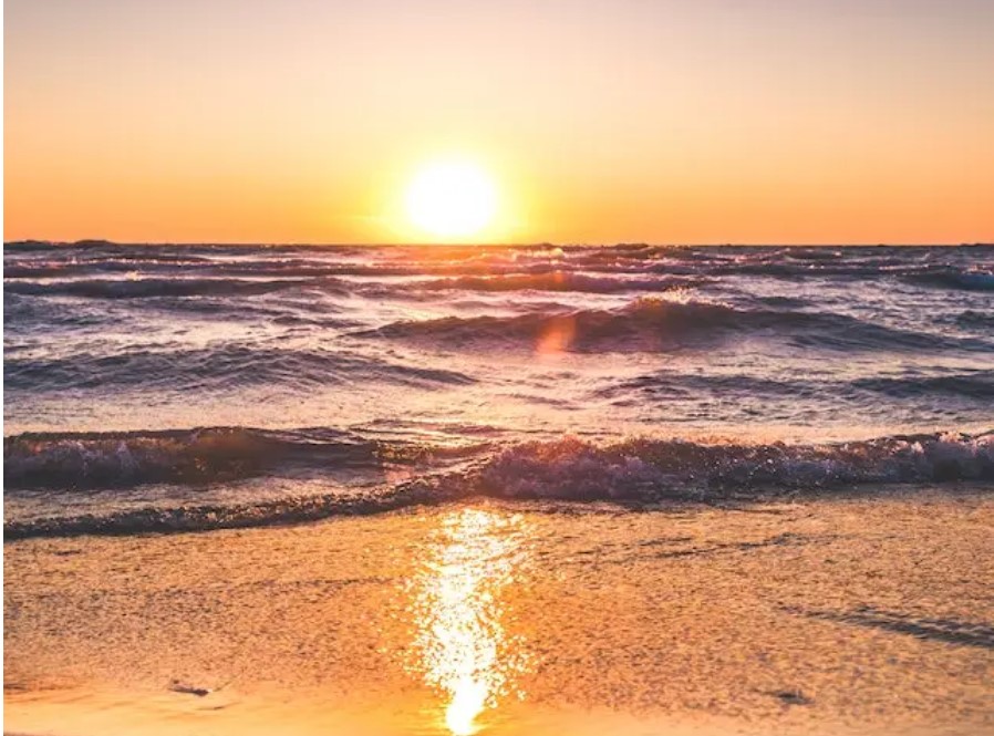 Aumento de temperatura de 5°C transforma Mediterrâneo em ‘cemitério da biodiversidade’