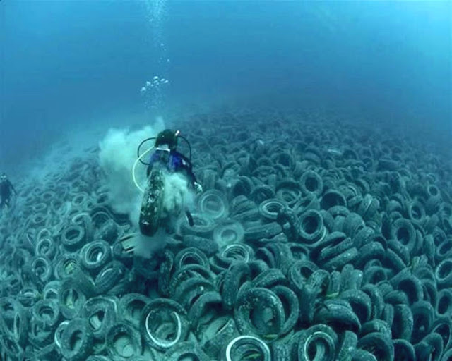 O “Tire Reef” da Flórida se tornou um desastre ambiental
