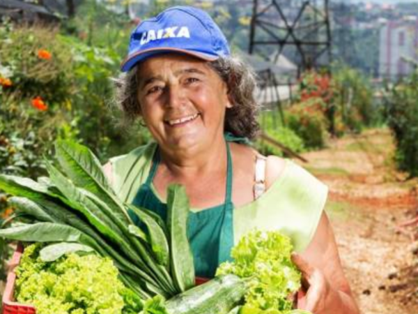 Terreno de 8 mil m² em SP, cheio de entulho, vira horta que garante comida e emprego à população