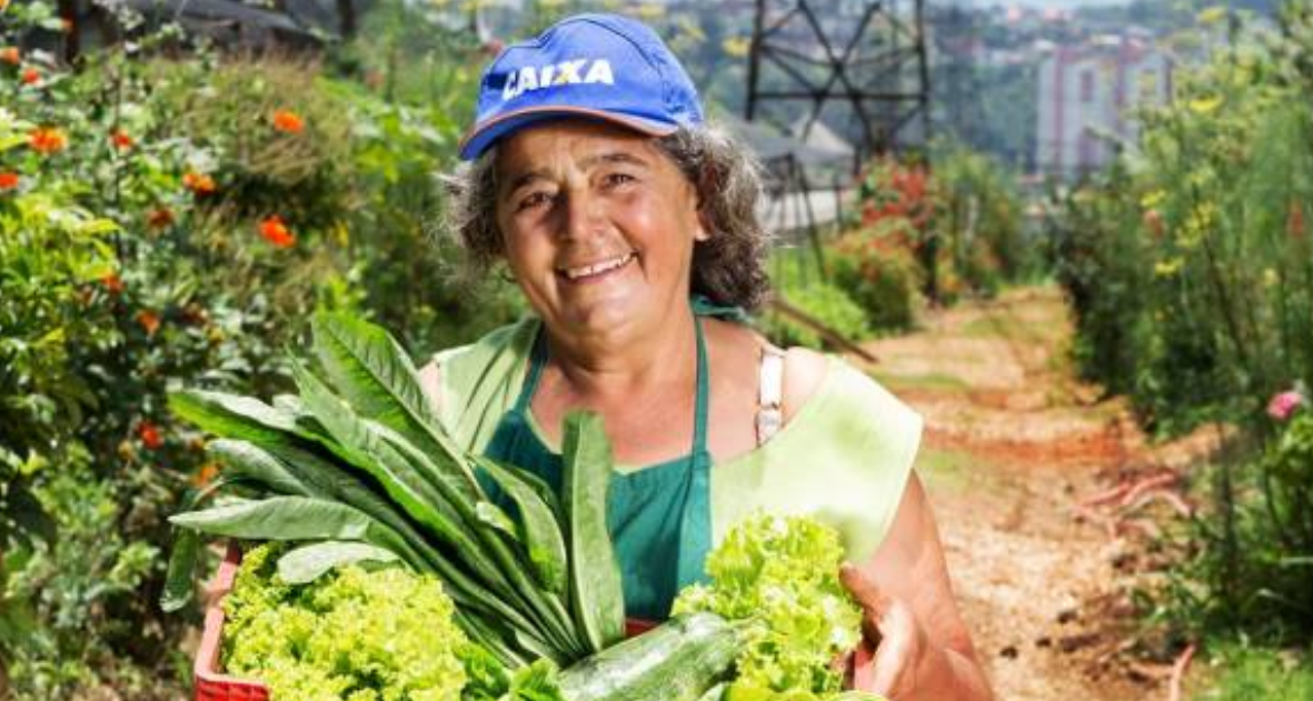 Terreno de 8 mil m² em SP, cheio de entulho, vira horta que garante comida e emprego à população