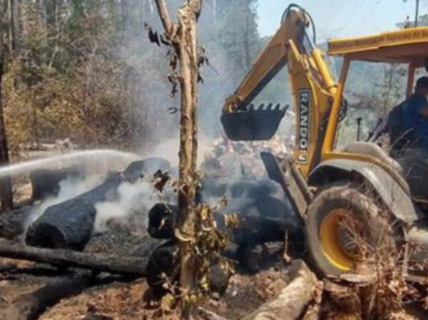 Seca extrema faz número de queimadas explodir no Pampa