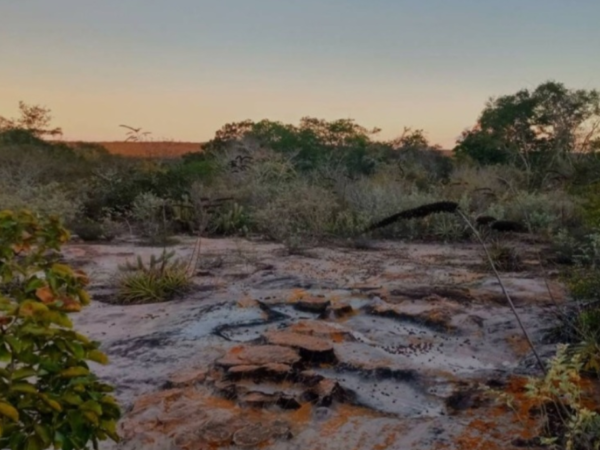 Reserva Natural Serra das Almas inspira a conservação da Caatinga há 22 anos