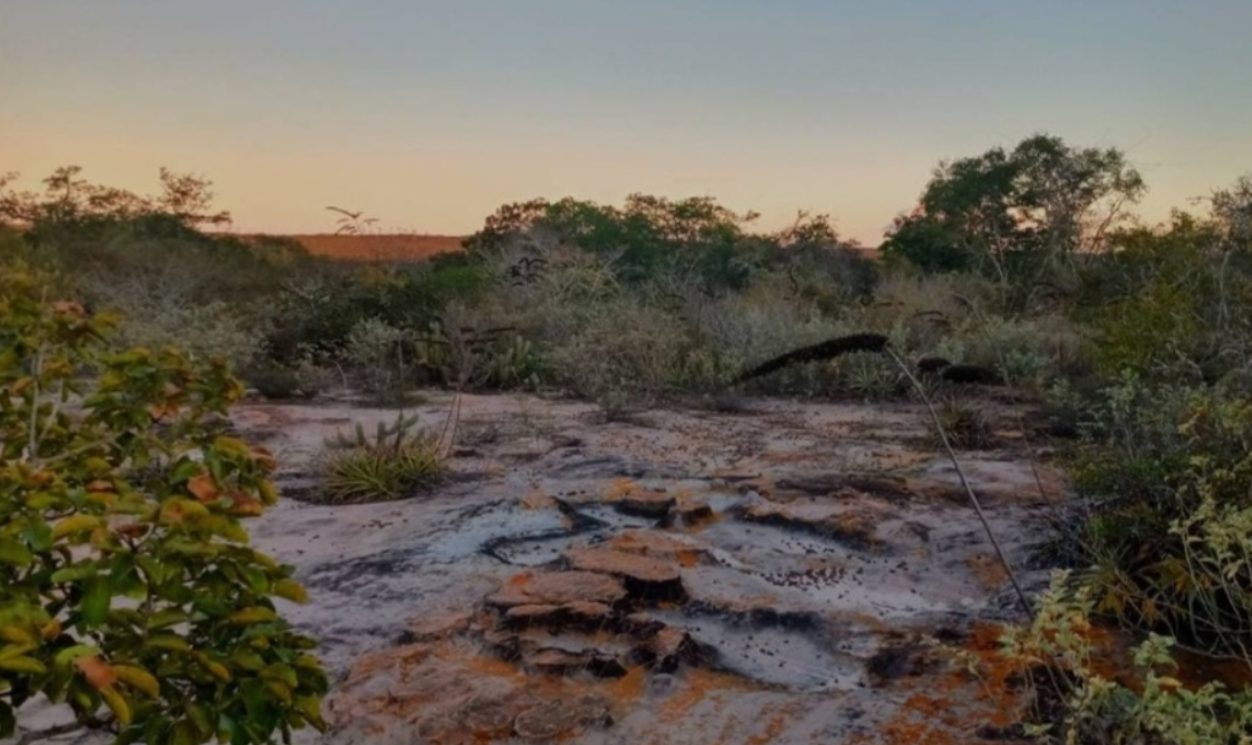 Reserva Natural Serra das Almas inspira a conservação da Caatinga há 22 anos