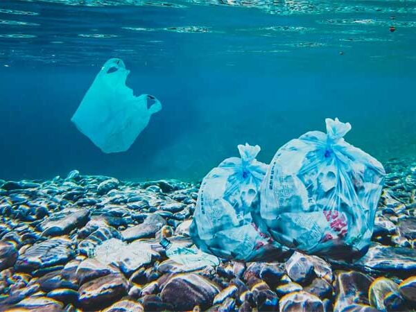 Pesquisadores da USP explicam impactos dos microplásticos nos ecossistemas