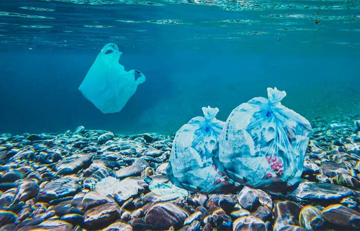 Pesquisadores da USP explicam impactos dos microplásticos nos ecossistemas