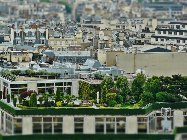 Terraços-jardins: uma solução sustentável para trazer o verde de volta às cidades