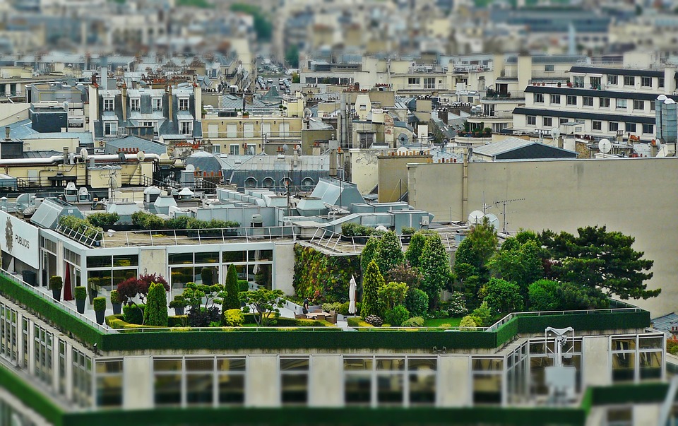 Terraços-jardins: uma solução sustentável para trazer o verde de volta às cidades
