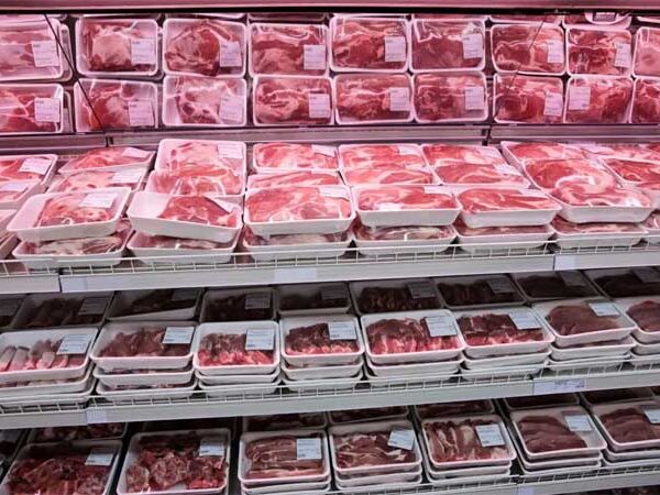 Carne sintética, uma alternativa à crueldade: como é obtida e em quais países pode ser consumida