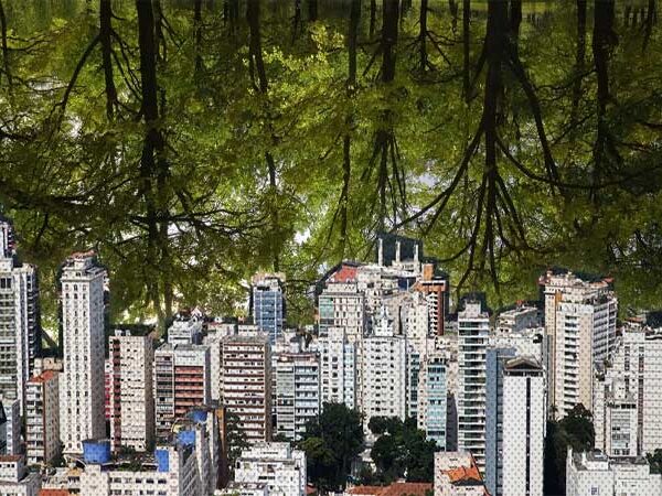 Proteção ao meio ambiente nas cidades se encontra entre o direito urbanístico e o ambiental