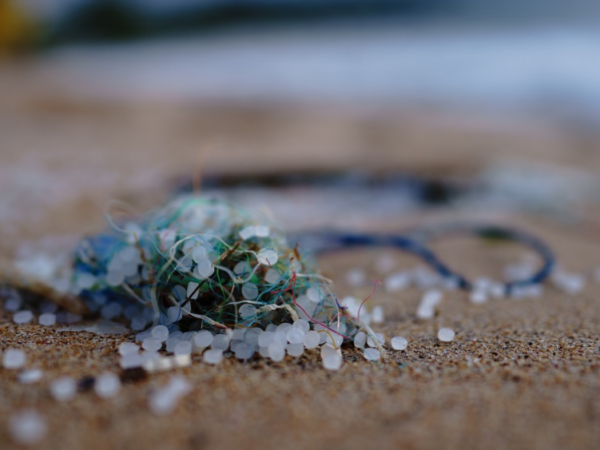 E-book da USP explica impactos dos microplásticos nos ecossistemas