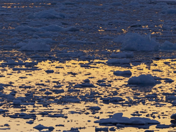 Poluição alcança a Antártica