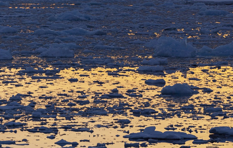 Poluição alcança a Antártica