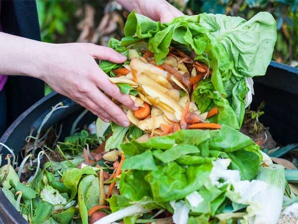 Estocolmo obriga separação de restos de alimentos; Medida visa geração de biogás e biofertilizantes